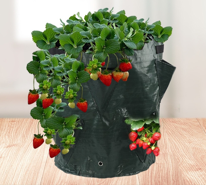 Pytel vak na pěstování jahod 35cm